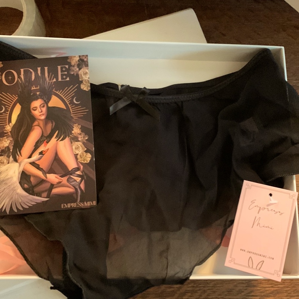 NWT Odile Chiffon French Briefs
